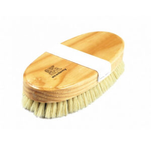 Floor Polishing Brush - Black Fibre - Coloured Border - Varnished Back with Elastic Strap - 23cm - Pack of 5 - F4401