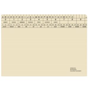 Retrieval Document Files - Includes Clip - Expanda Heavy Weight - 326gsm - A4 - Pack of 60 - FIL500C