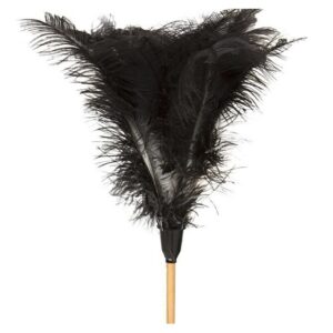 Feather Duster - Medium - 900mm