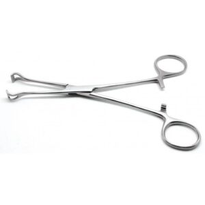 Alternative view of Babcock Forceps 20cm
