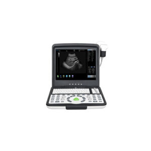 WED190 Portable Ultrasound ��� 15��� LCD Monitor