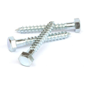 Ifasten Coach Screw M10X75Mm 10 Pp