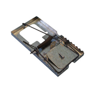 Mouse Trap