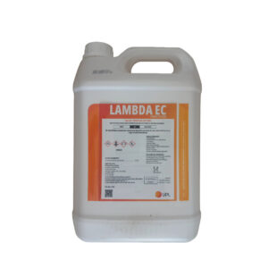 Lambda
