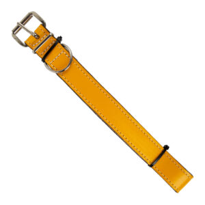 Complete Collar Stitched Leather 32 X 600Mm