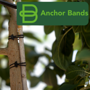 Bandex Anchor Band 60X5Mm - 1Kg
