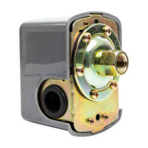 Alternative view of Pascali Switch Pressure Sk-1