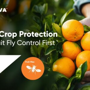 Insecticide Coragen