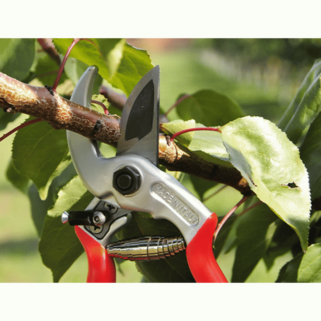 Castellari Universale Pruning Shear - Image 2